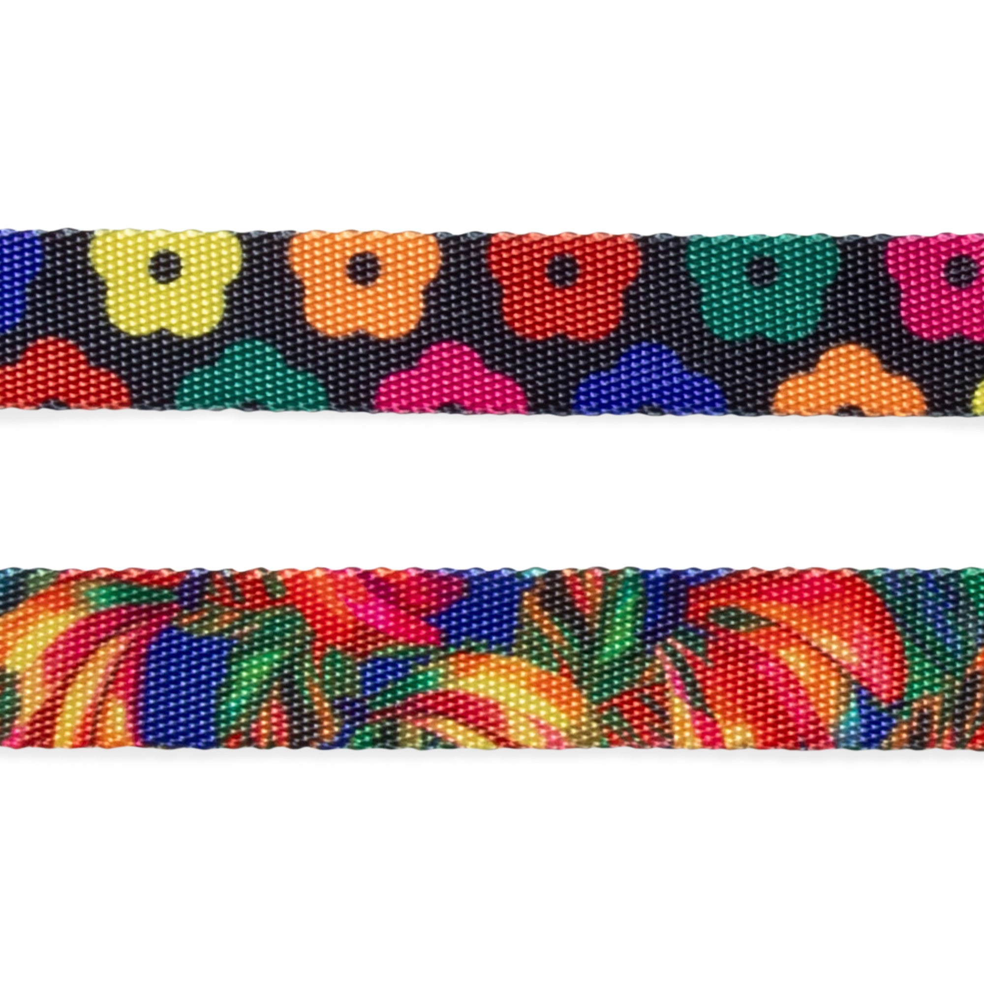 SAMBA COLLAR