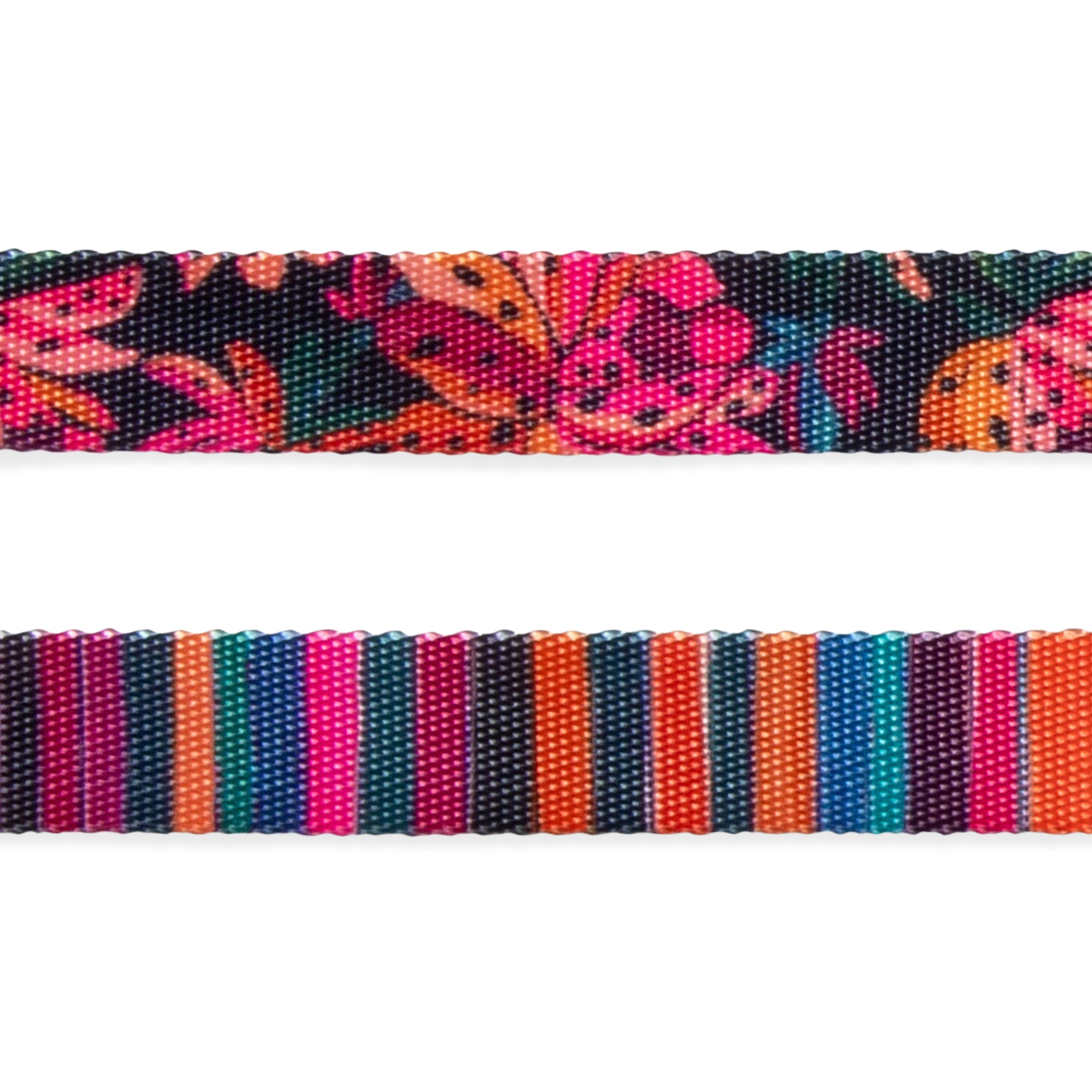 SELVA COLLAR