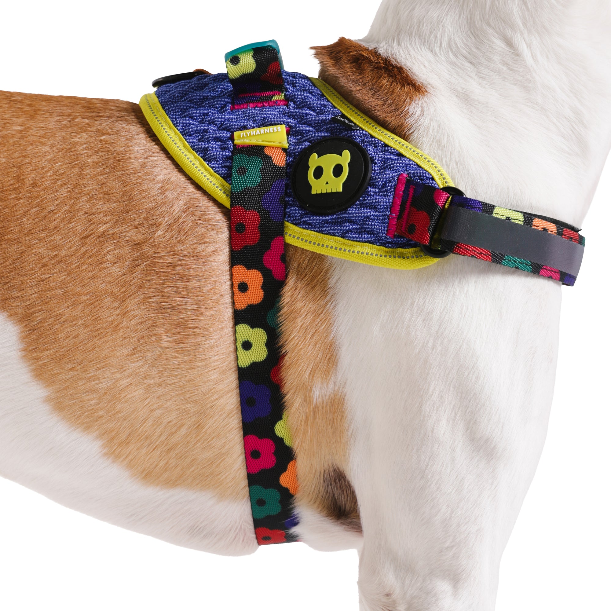 FLYHARNESS SAMBA