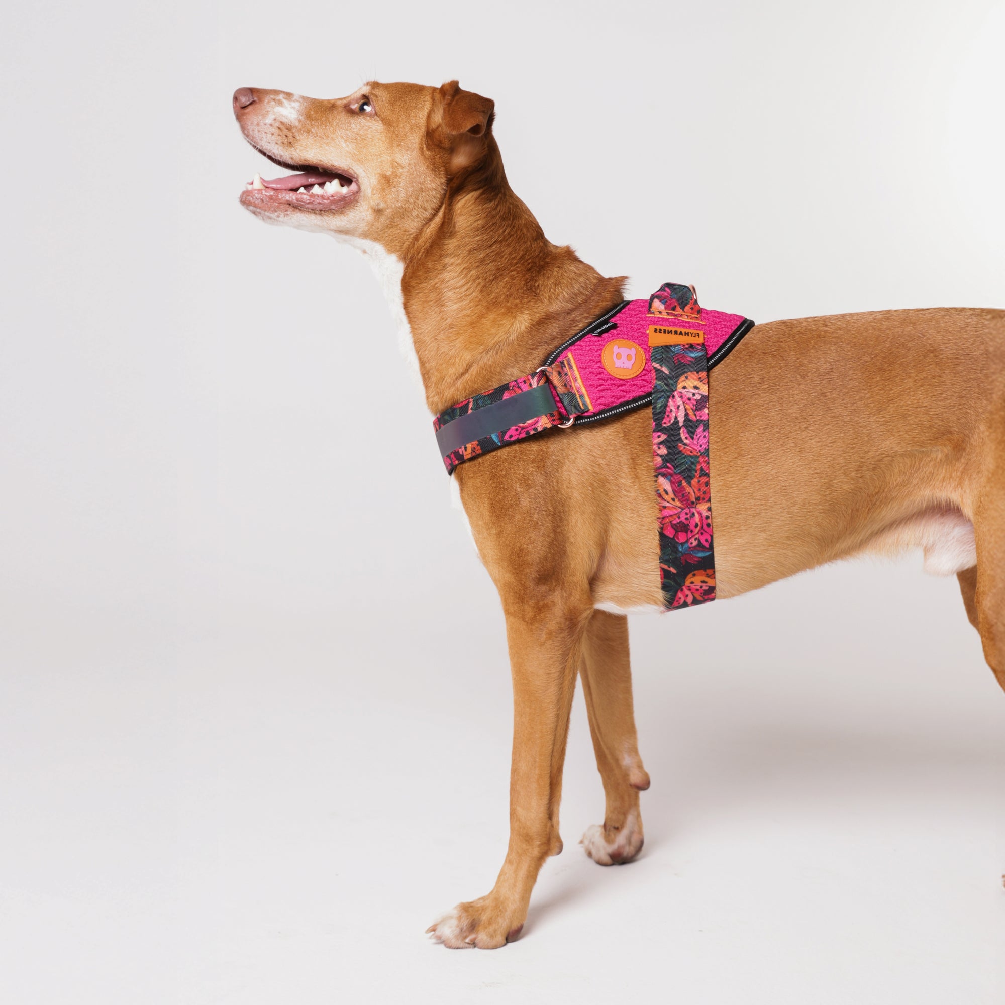 FLYHARNESS SELVA