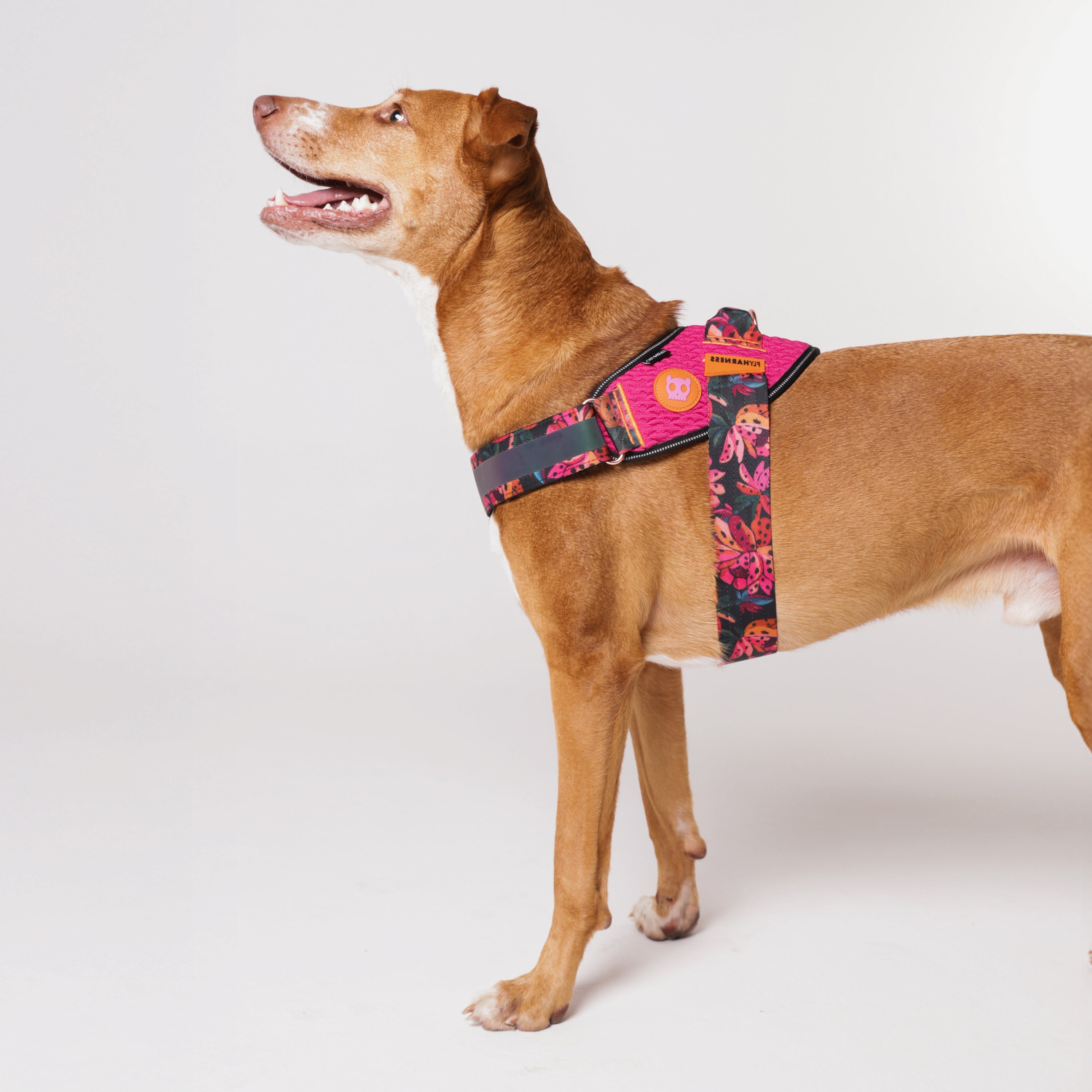 FLYHARNESS SELVA