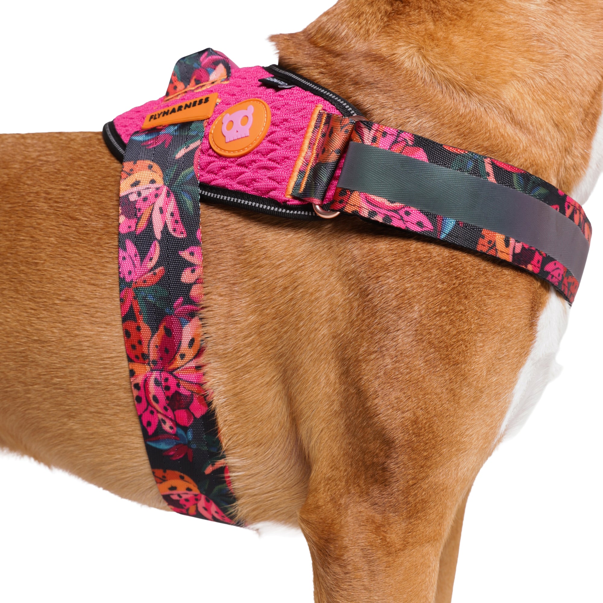 FLYHARNESS SELVA