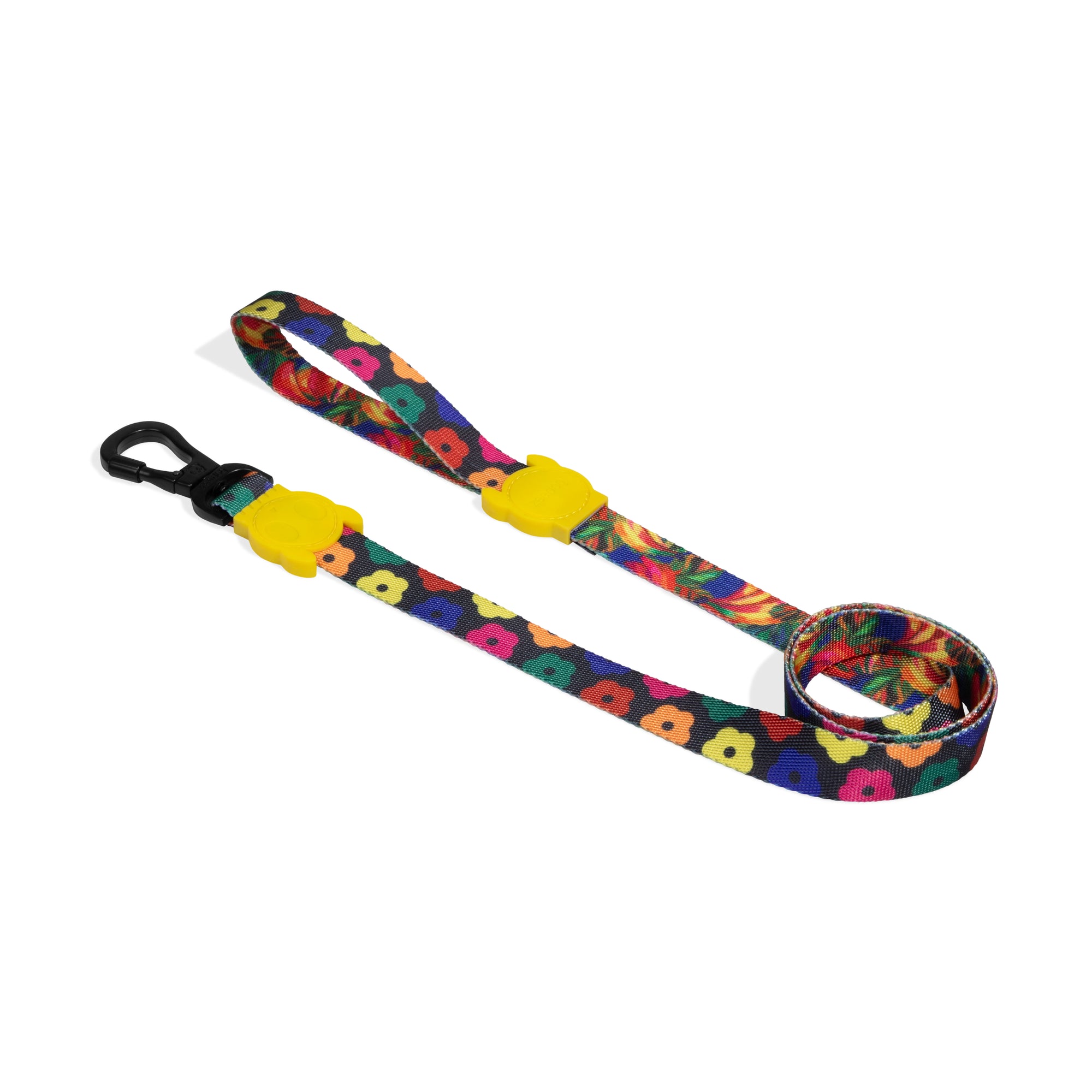 SAMBA LEASH