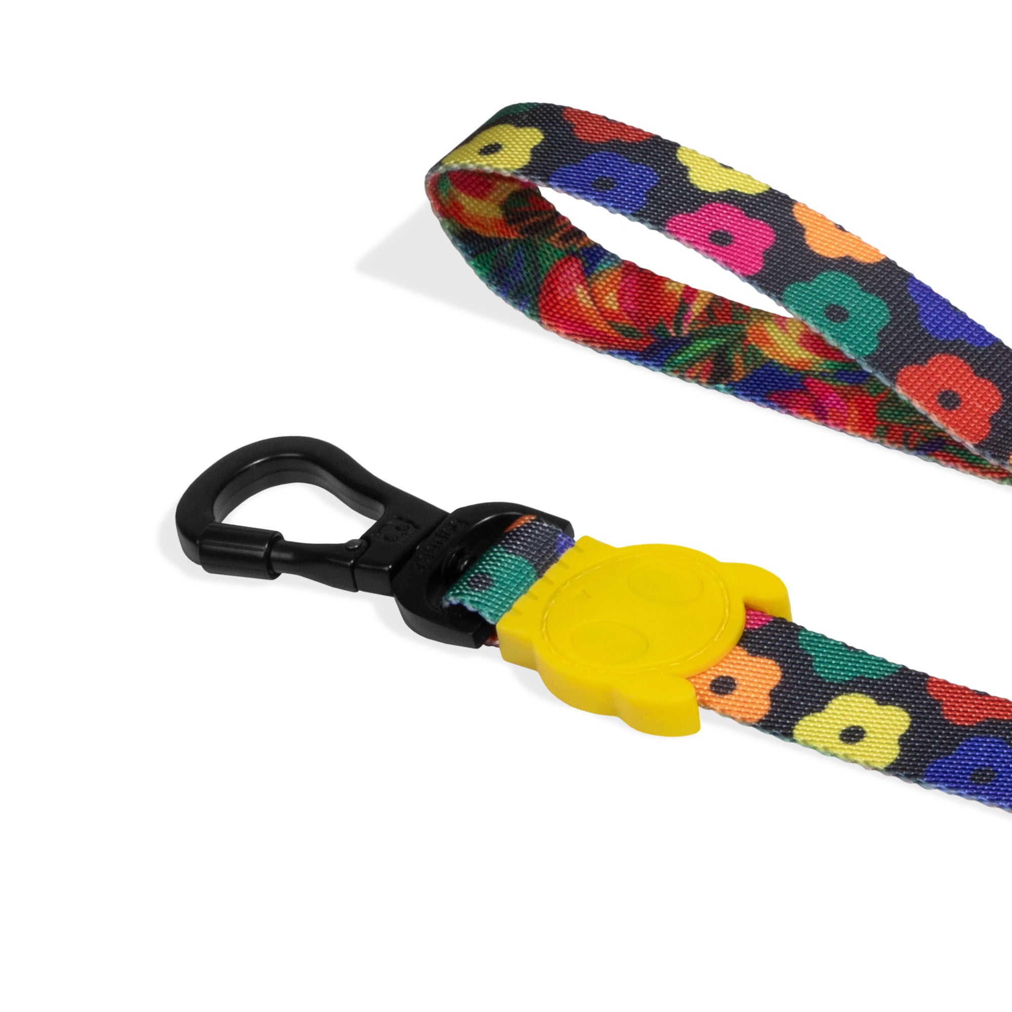 SAMBA LEASH