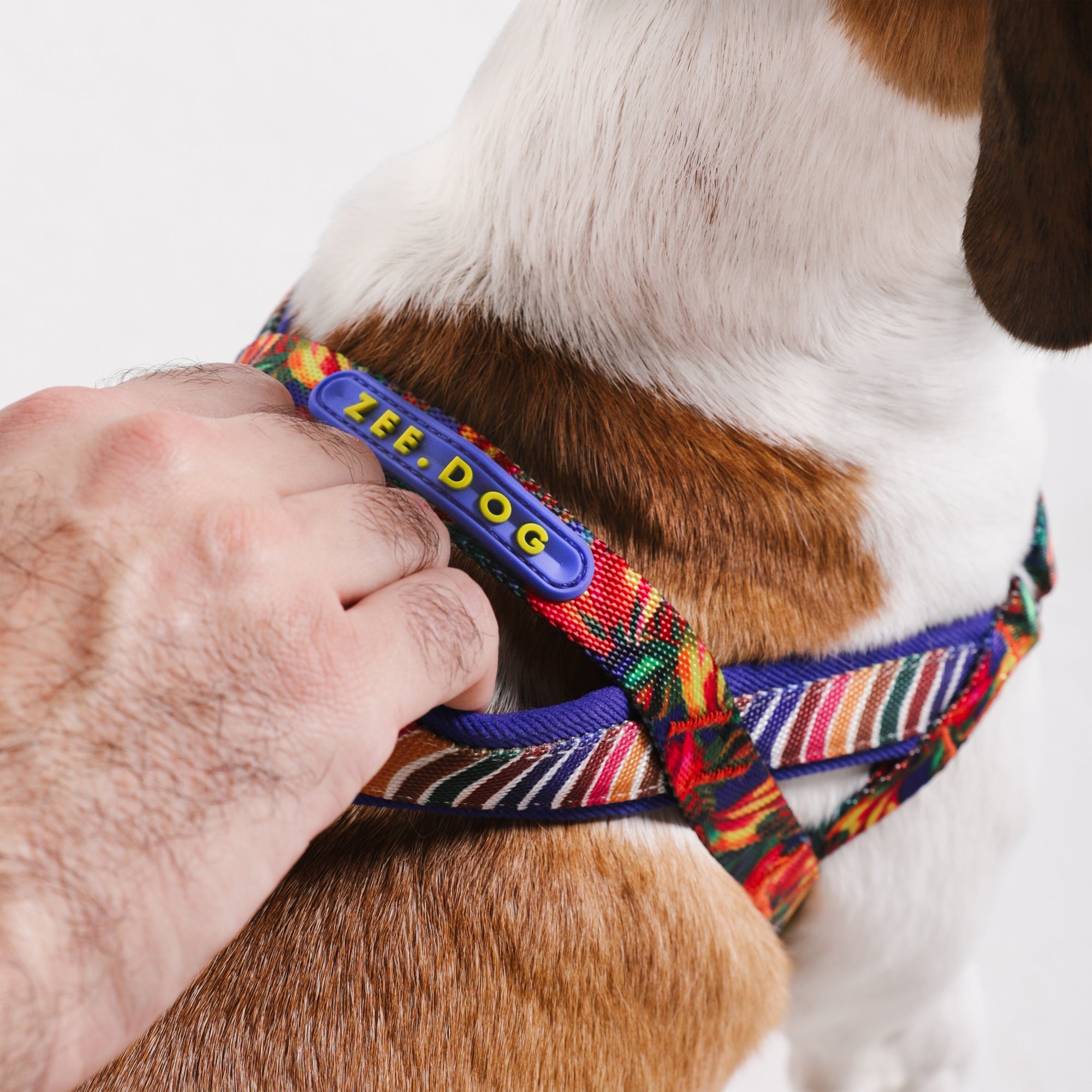 SAMBA SOFTER WALK HARNESS