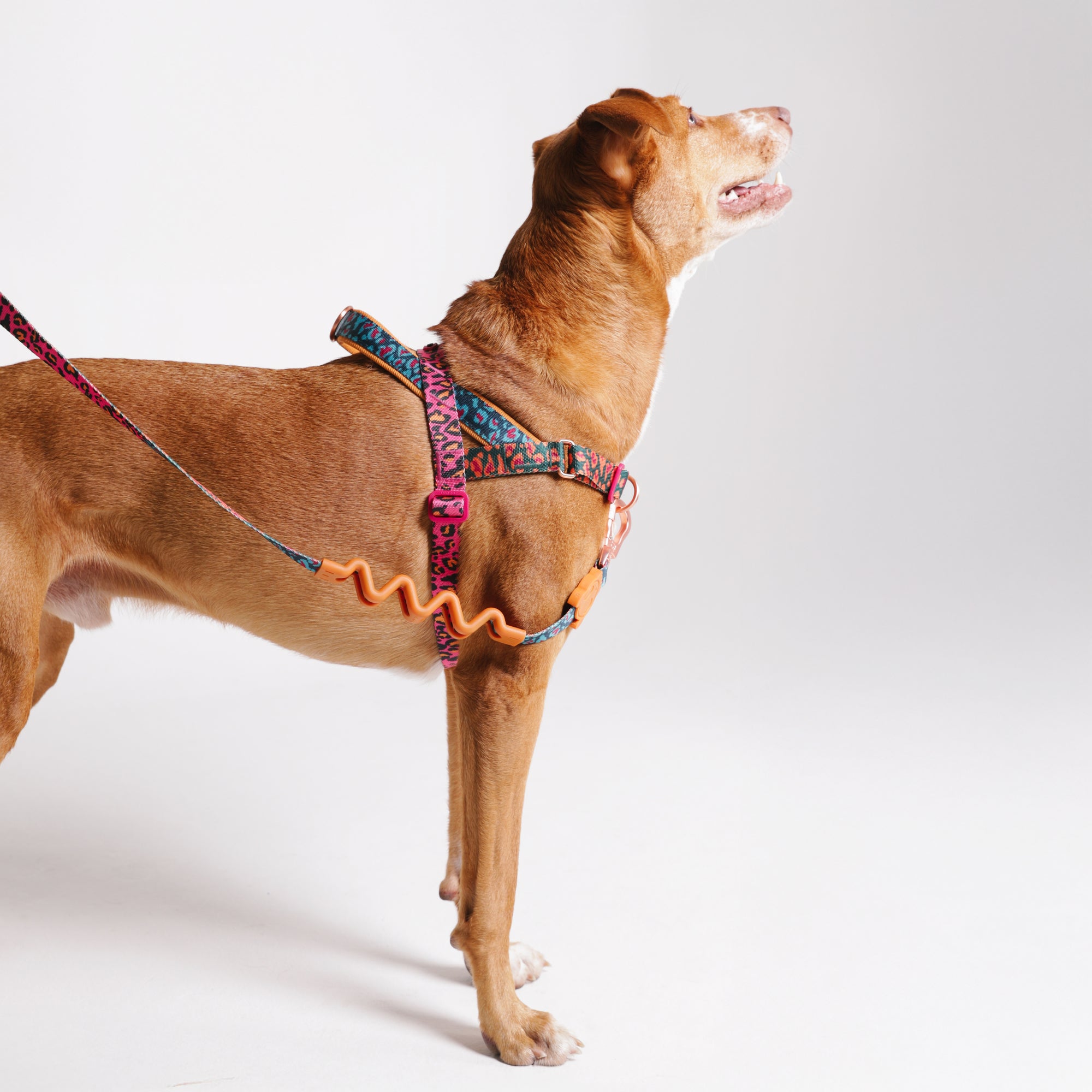 SELVA SOFTER WALK HARNESS