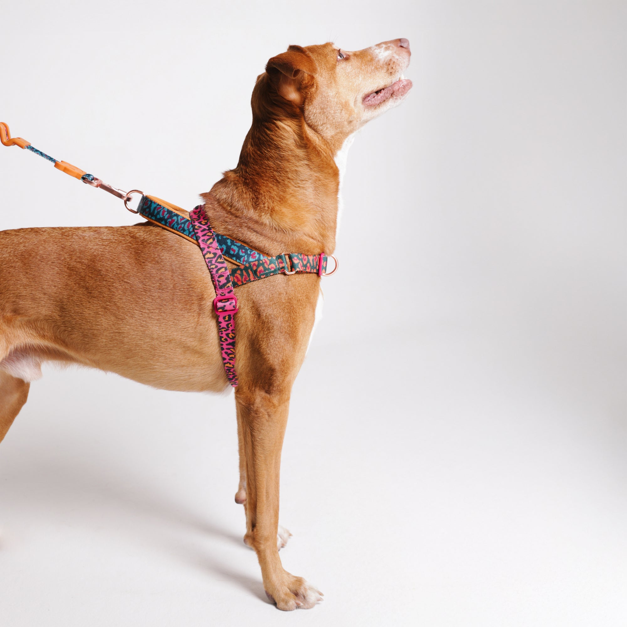 SELVA SOFTER WALK HARNESS