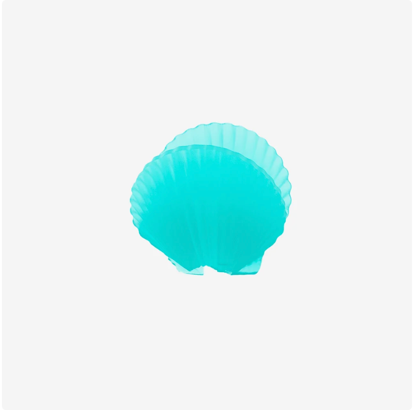 ZEE.PINZ SHELL
