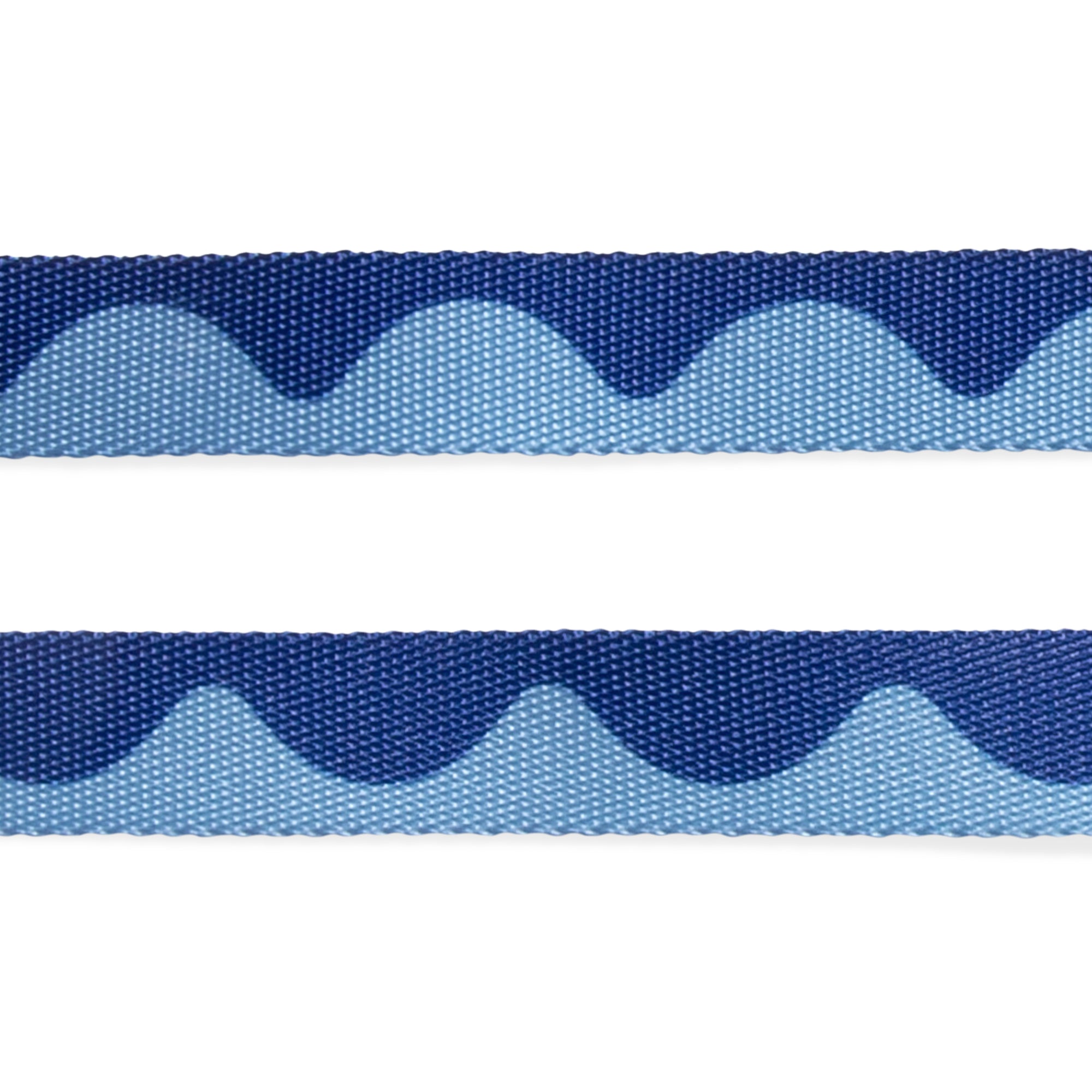 SWELL LEASH