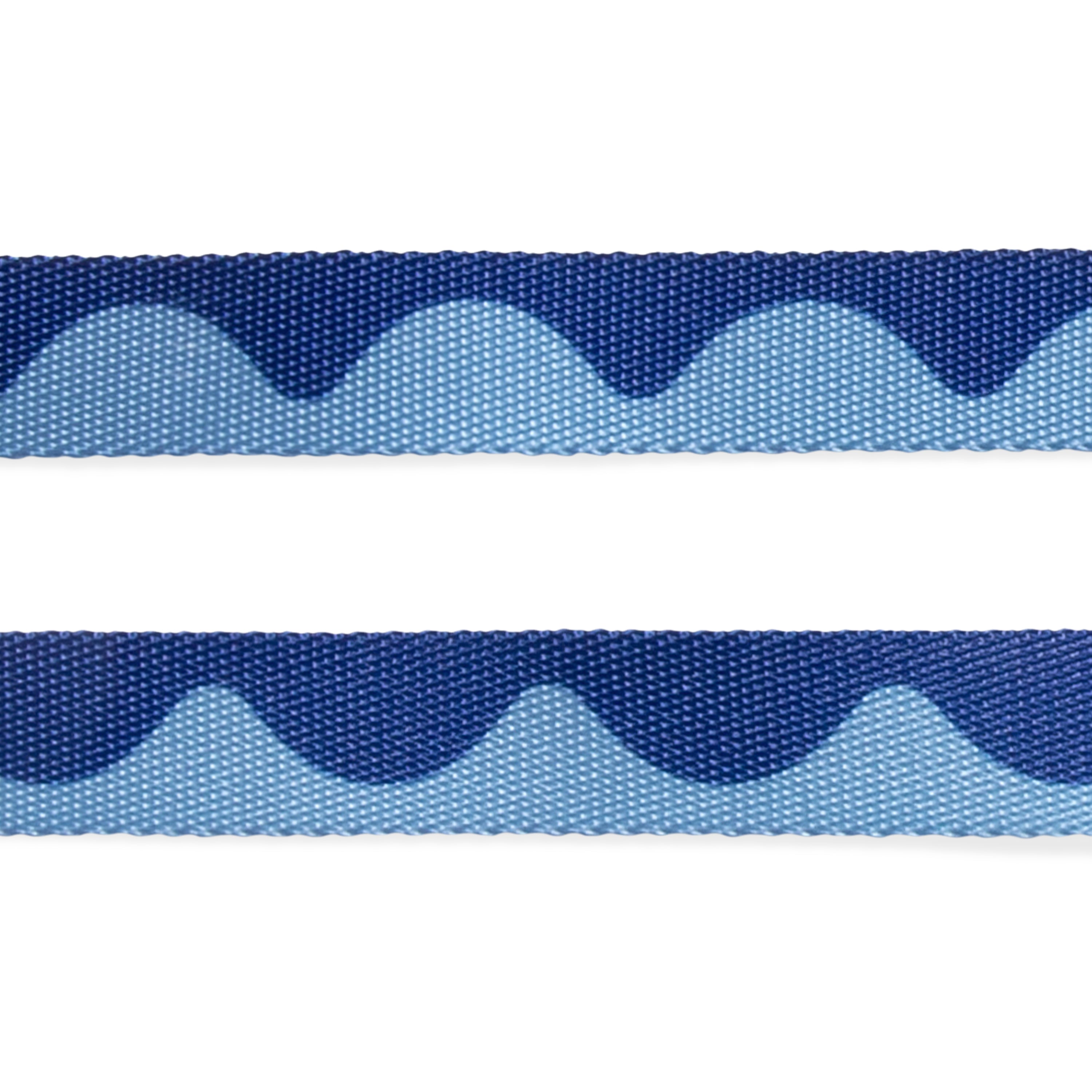 SWELL LEASH