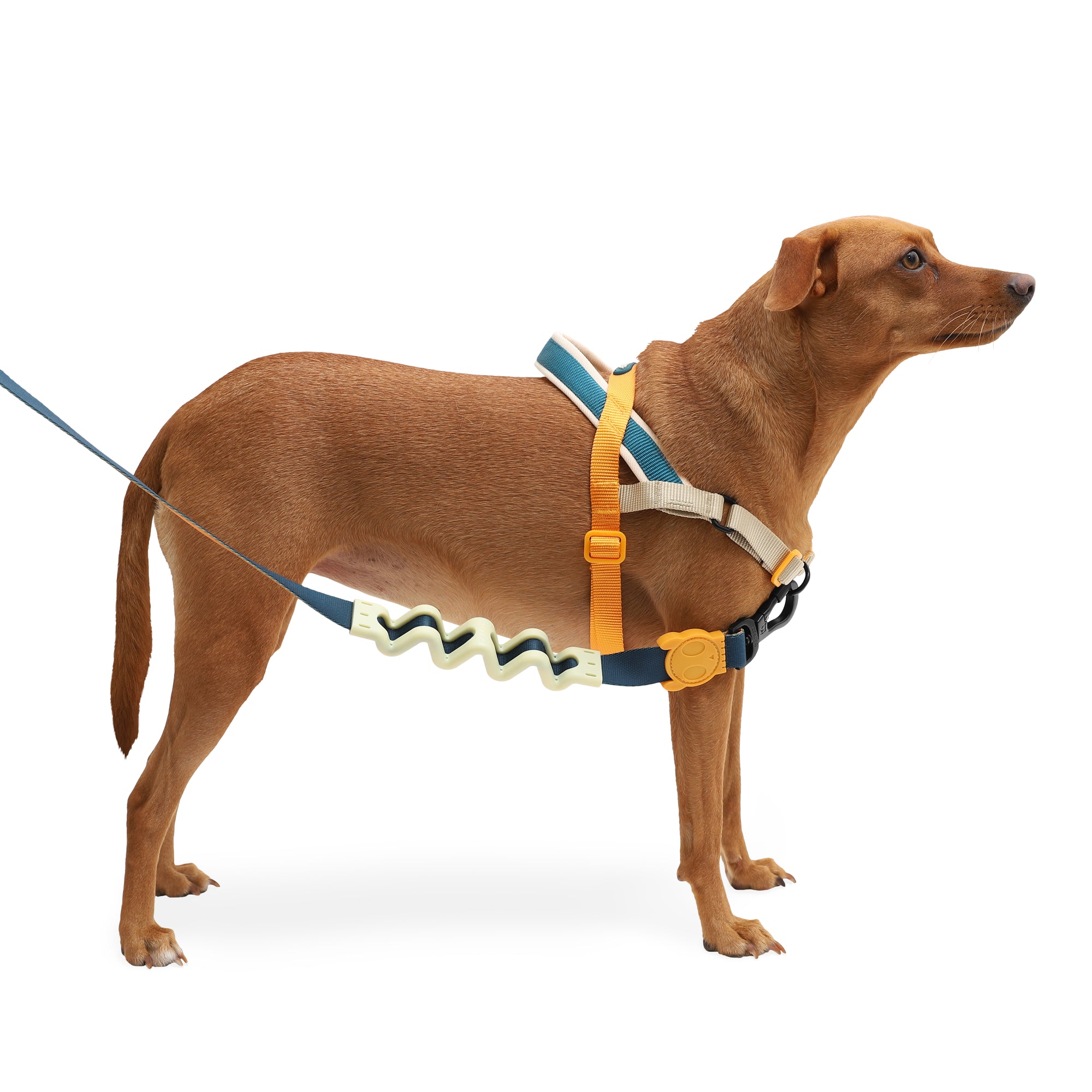 VOYAGE SOFTER WALK HARNESS