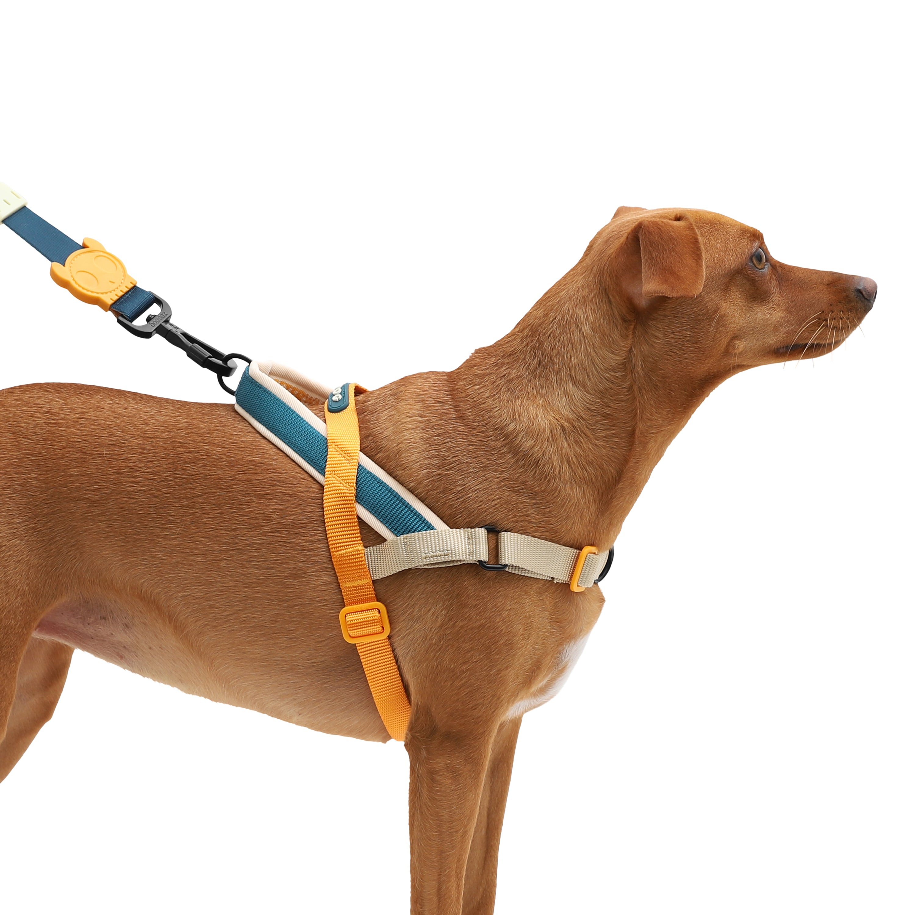 VOYAGE SOFTER WALK HARNESS