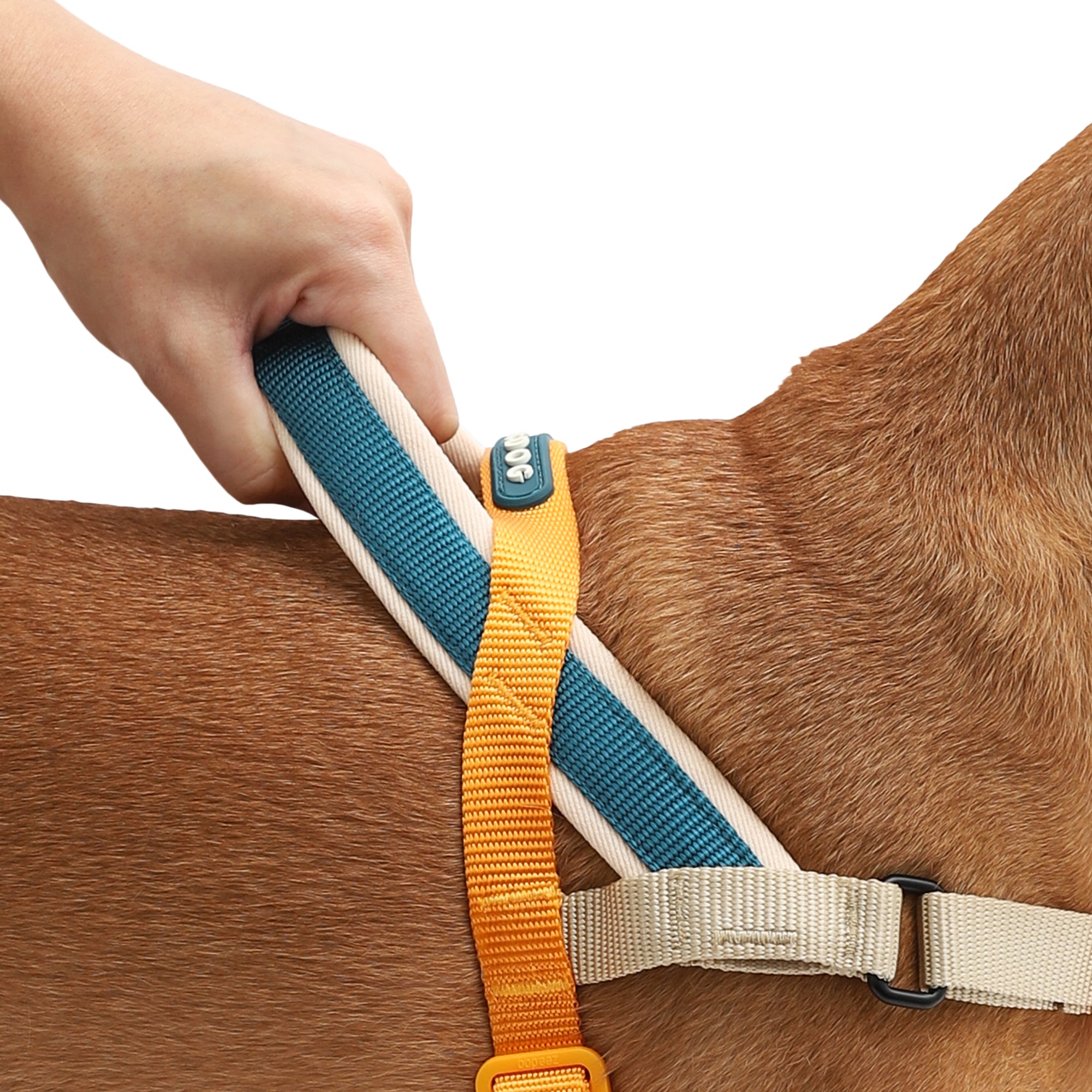 VOYAGE SOFTER WALK HARNESS