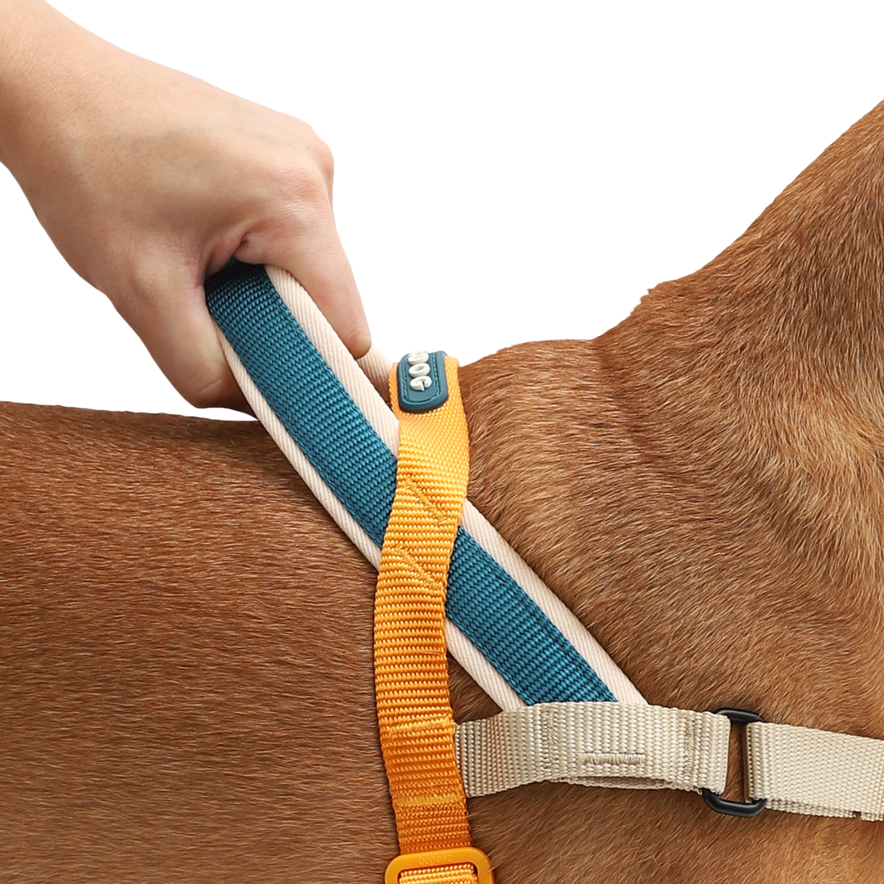VOYAGE SOFTER WALK HARNESS